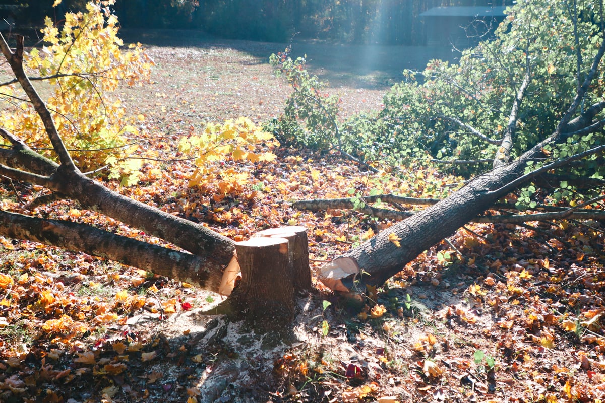 Beautiful luxury landscaped property