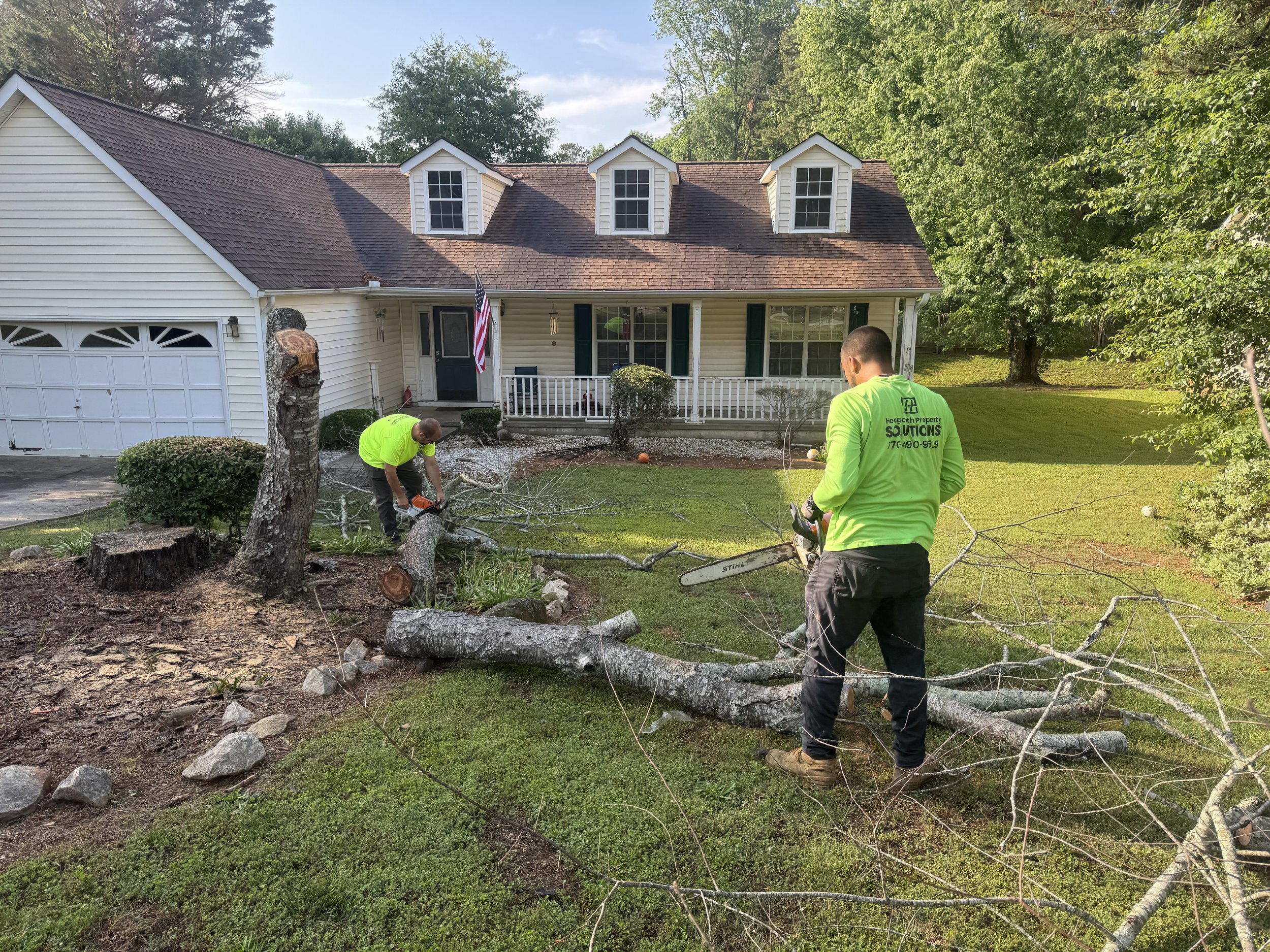 Tree Service service by Hedgecoth Property Solutions